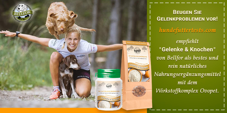 760x380_Gelenke-760x380