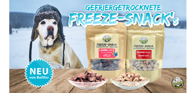 freeze-snacks_deu-760x360